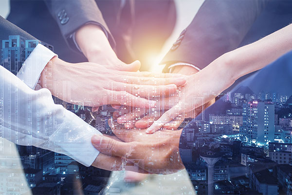 Ͷ����Ч��